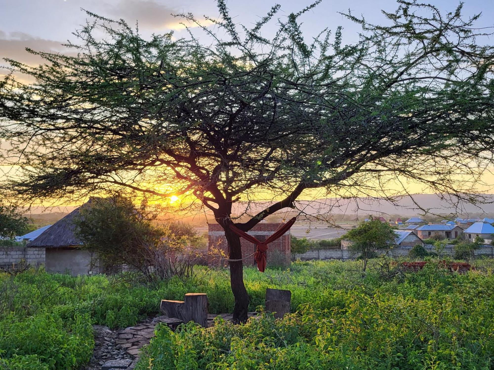 Mwi Village House Мто-ва-Мбу Экстерьер фото